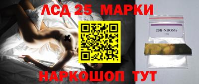 Альфа ПВП Моздок
