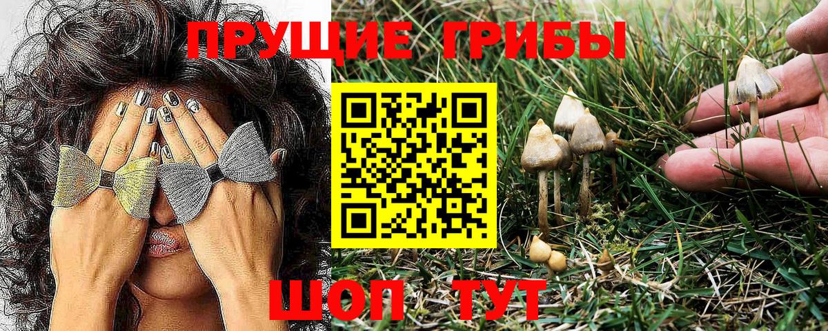 Галлюциногенные грибы Psilocybine cubensis  Вход с VPN  Топки 